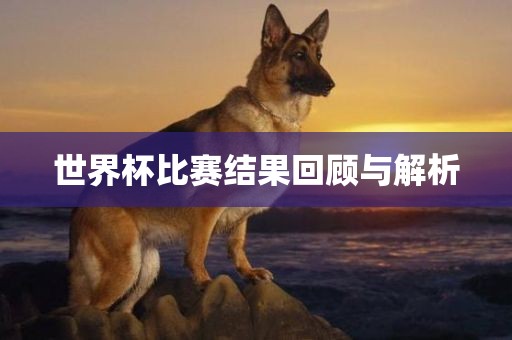 世界杯比赛结果回顾与解析
