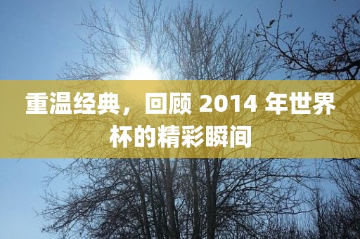 重温经典，回顾 2014 年世界杯的精彩瞬间