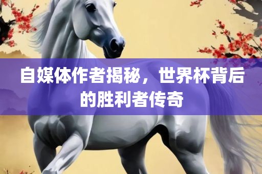 自媒体作者揭秘，世界杯背广西贺州市华昌新材料有限公司后的胜利者传奇
