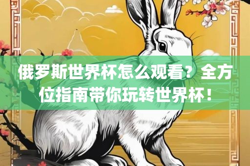 俄罗斯世界杯怎么观看？全方位指南带你玩转世界杯！
