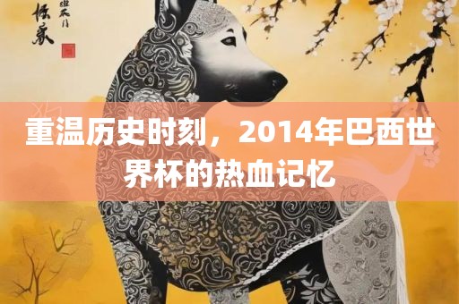 重温历史时刻，2014年巴西世界杯的热血记忆