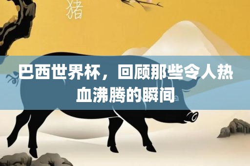 巴西世界杯，回顾那些令人热血沸腾的瞬间