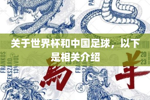 关于世界杯和中国足球，以下是相关介绍