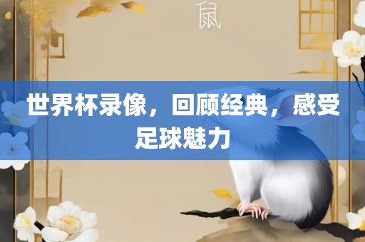 世界杯录像，回顾经典，感受足球魅力