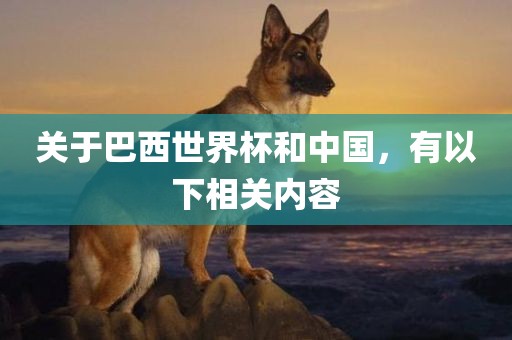 关于巴西世界杯和中国，有以下相关内容