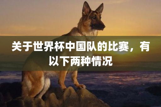 关于世界杯中国队的比赛，有以下两种情况