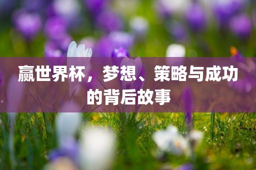 赢世界杯，梦想、策略与成功的背后故事