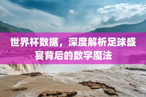 世界杯数据，深度解析足球盛宴背后的数字魔法