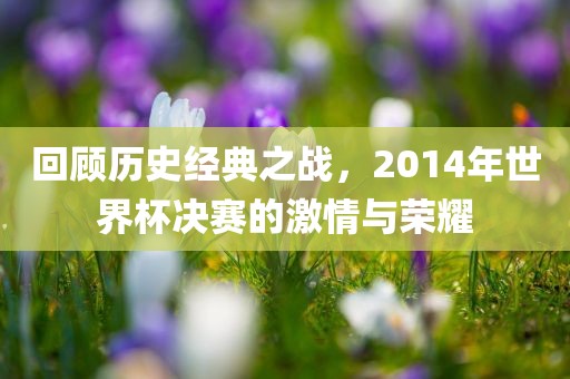回顾历史经典之战，2014年世界杯决赛的激情与荣耀