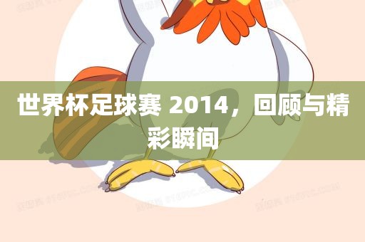 世界杯足球赛 2014，回顾与精彩瞬间