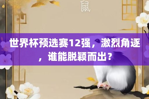 世界杯预选赛12强，激烈角逐，谁能脱颖而出？