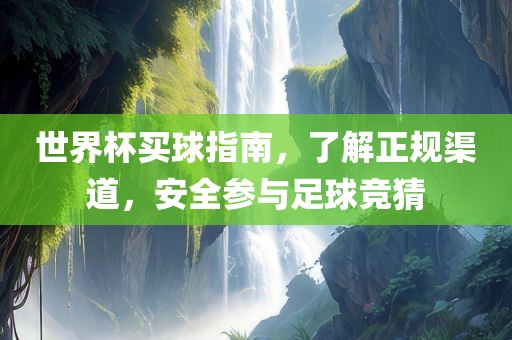 世界杯买球指南，了解正规渠道，安全参与足球竞猜