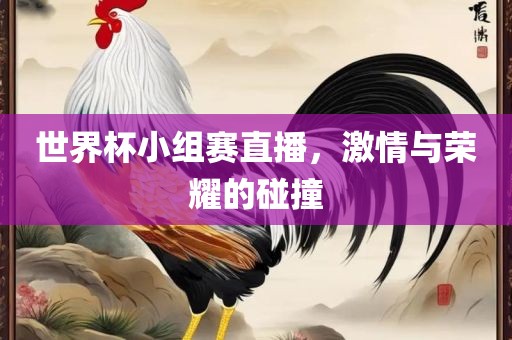 世界杯小组赛直播，激情与荣耀的碰撞