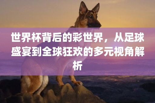 世界杯背后的彩世界，从足球盛宴到全球狂欢的多元视角解析