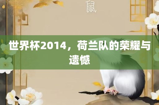世界杯2014，荷兰队的荣耀与遗憾