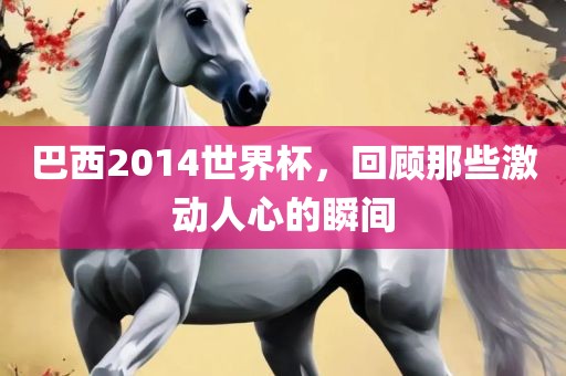 巴西2014世界杯，回顾那些激动人心的瞬间