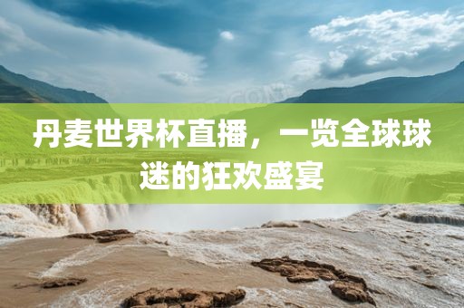 丹麦世界杯直播，一览全球球迷的狂欢盛宴