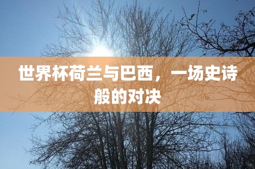 世界杯荷兰与巴西，一场史诗般的对决
