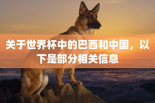 关于世界杯中的巴西和中国，以下是部分相关信息