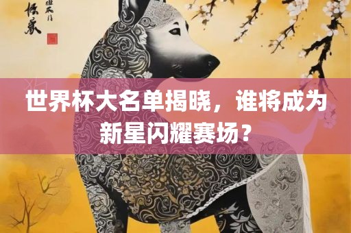 世界杯大名单揭晓，谁将成为新星闪耀赛场？