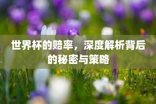 世界杯的赔率，深度解析背后的秘密与策略