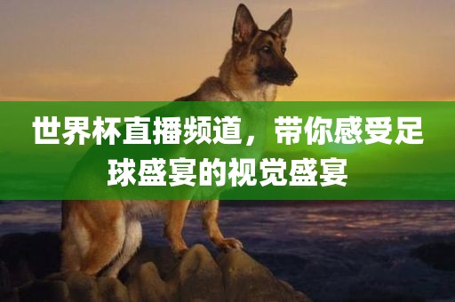 世界杯直播频道，带你感受足球盛宴的视觉盛宴