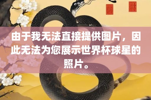 由于我无法直接提供图片，因此无法为您展示世界杯球星的照片。