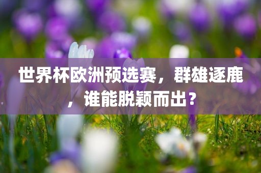 世界杯欧洲预选赛，群雄逐鹿，谁能脱颖而出？