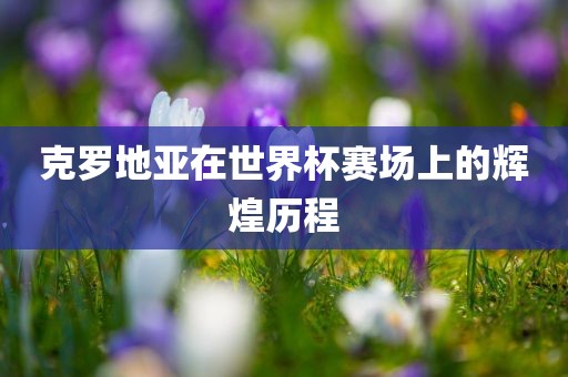 克罗地亚在世界杯赛场上的辉煌历程