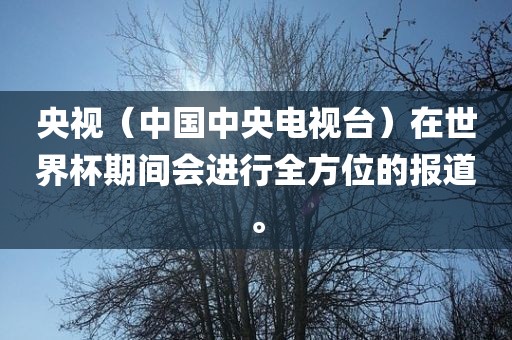 央视（中国中央电视台）在世界杯期间会进行全方位的报道。