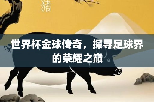 世界杯金球传奇，探寻足球界的荣耀之巅