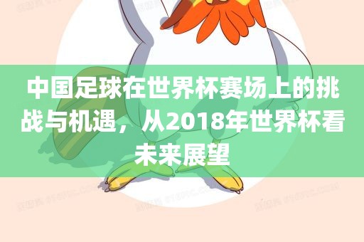 中国足球在世界杯赛场上的挑战与机遇，从2018年世界杯看未来展望