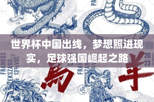 世界杯中国出线，梦想照进现实，足球强国崛起之路