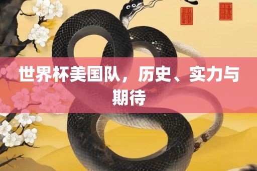 世界杯美国队，历史、实力与期待