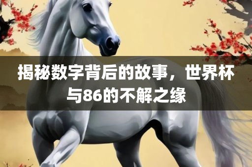 揭秘数字背后的故事，世界杯与86的不解之缘