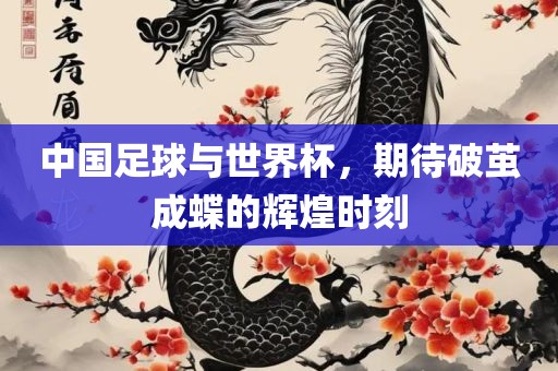 中国足球与世界杯，期待破茧成蝶的辉煌时刻