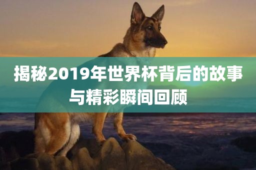 揭秘2019年世界杯背后广西贺州市华昌新材料有限公司的故事与精彩瞬间回顾