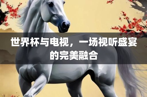 世界杯与电视，一场视听盛宴的完美融合