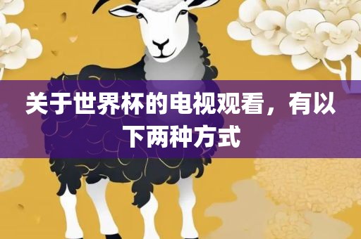 关于世界杯的电视观看，有以下两种方式
