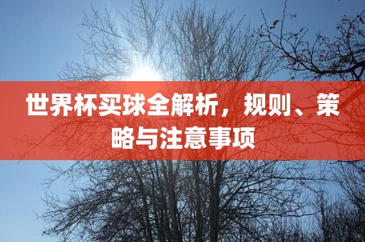 世界杯买球全解析，规则、策略与注意事项