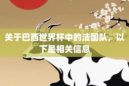 关于巴西世界杯中的法国队，以下是相关信息