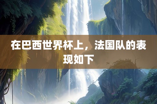 在巴西世界杯上，法国队的表现如下