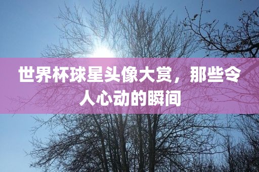 世界杯球星头像大赏，那些令人心动的瞬间