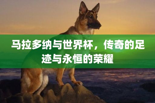 马拉多纳与世界杯，传奇的足迹与永恒的荣耀