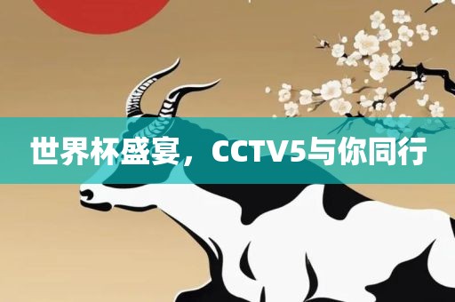 世界杯盛宴，CCTV5与你同行
