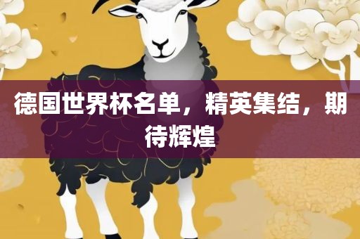 德国世界杯名单，精英集结，期待辉煌