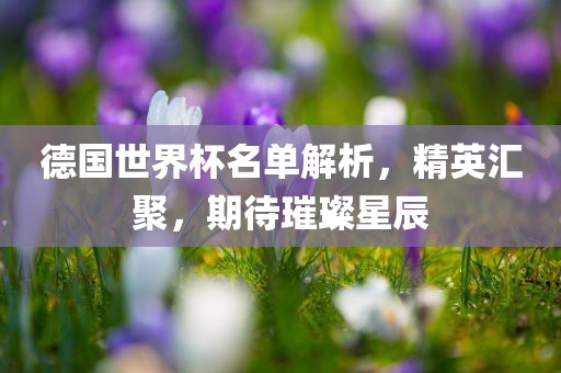 德国世界杯名单解析，精英汇聚，期待璀璨星辰