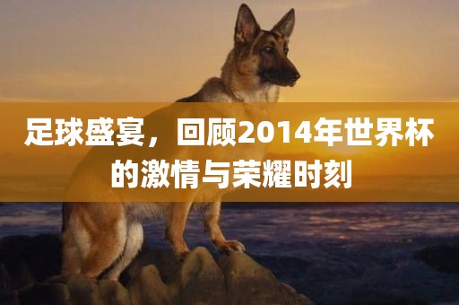 足球盛宴，回顾2014年世界杯的激情与荣耀时刻