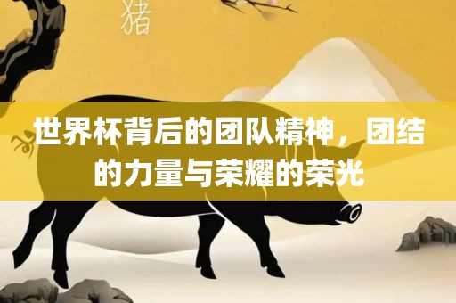世界杯背后的团队精神，团结的力量与荣耀的荣光