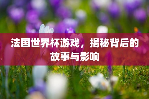 法国世界杯游戏，揭秘背后的故事与影响